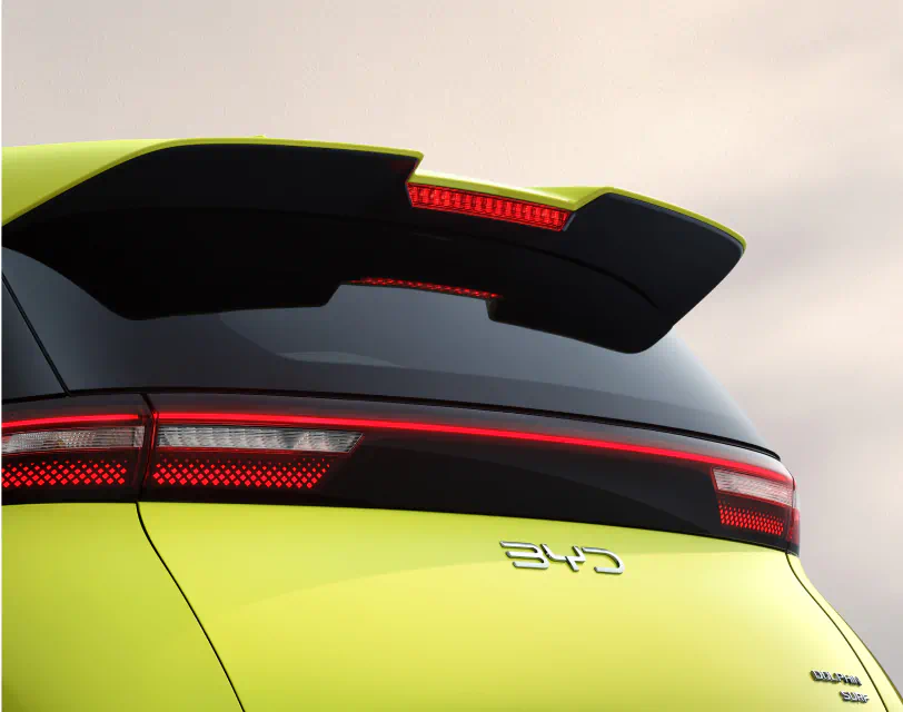 byd-dolphin-surf-sport-legterelo